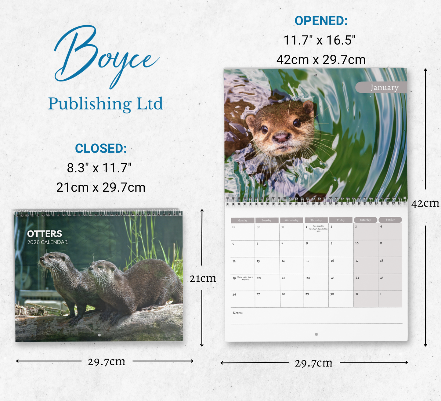 Otter Calendar 2026