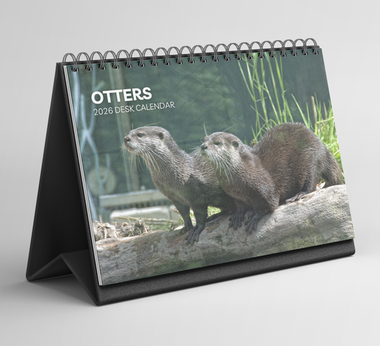 Otter Desk Calendar 2026-2027