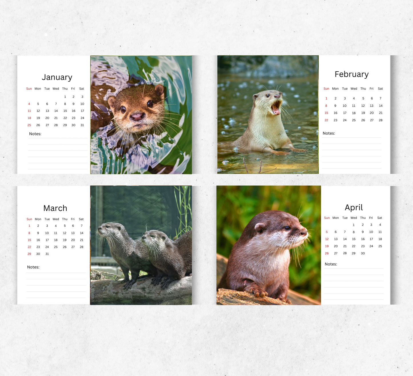 Otter Desk Calendar 2026-2027