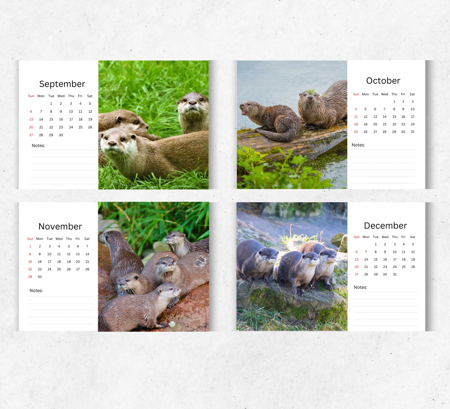 Otter Desk Calendar 2026-2027