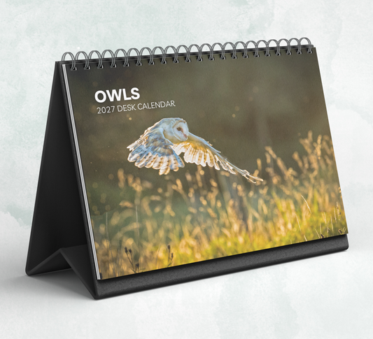 Owl Desk Calendar 2027-2028