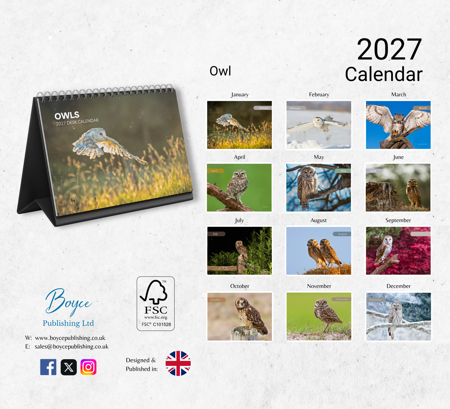 Owl Desk Calendar 2027-2028