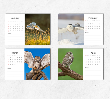 Owl Desk Calendar 2027-2028