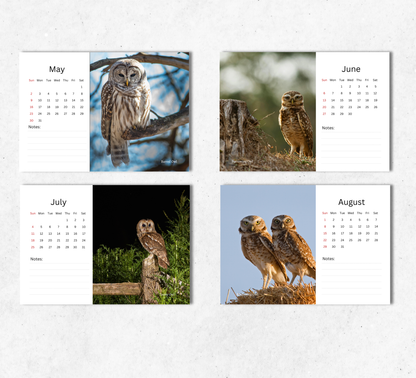 Owl Desk Calendar 2027-2028