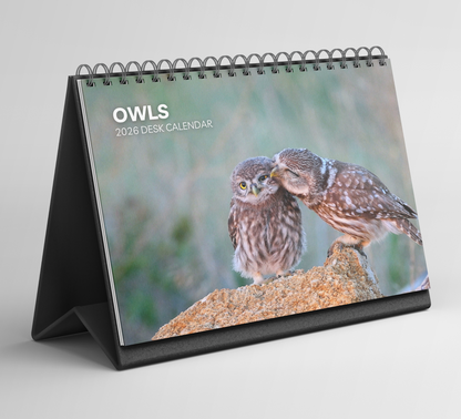 Owl Desk Calendar 2026-2027