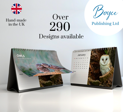 Owl Desk Calendar 2026-2027
