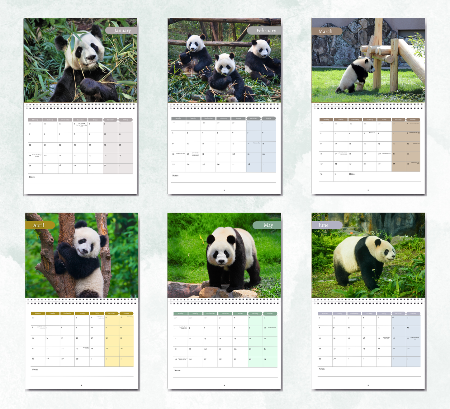 Panda Calendar 2027