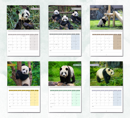 Panda Calendar 2027