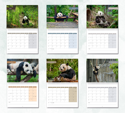 Panda Calendar 2027