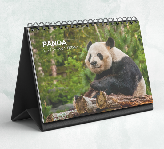 Panda Desk Calendar 2027-2028