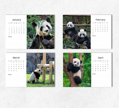 Panda Desk Calendar 2027-2028
