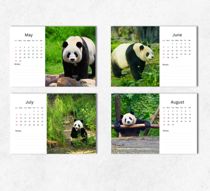 Panda Desk Calendar 2027-2028