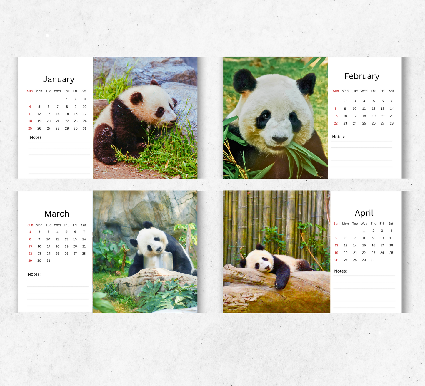 Panda Desk Calendar 2026-2027