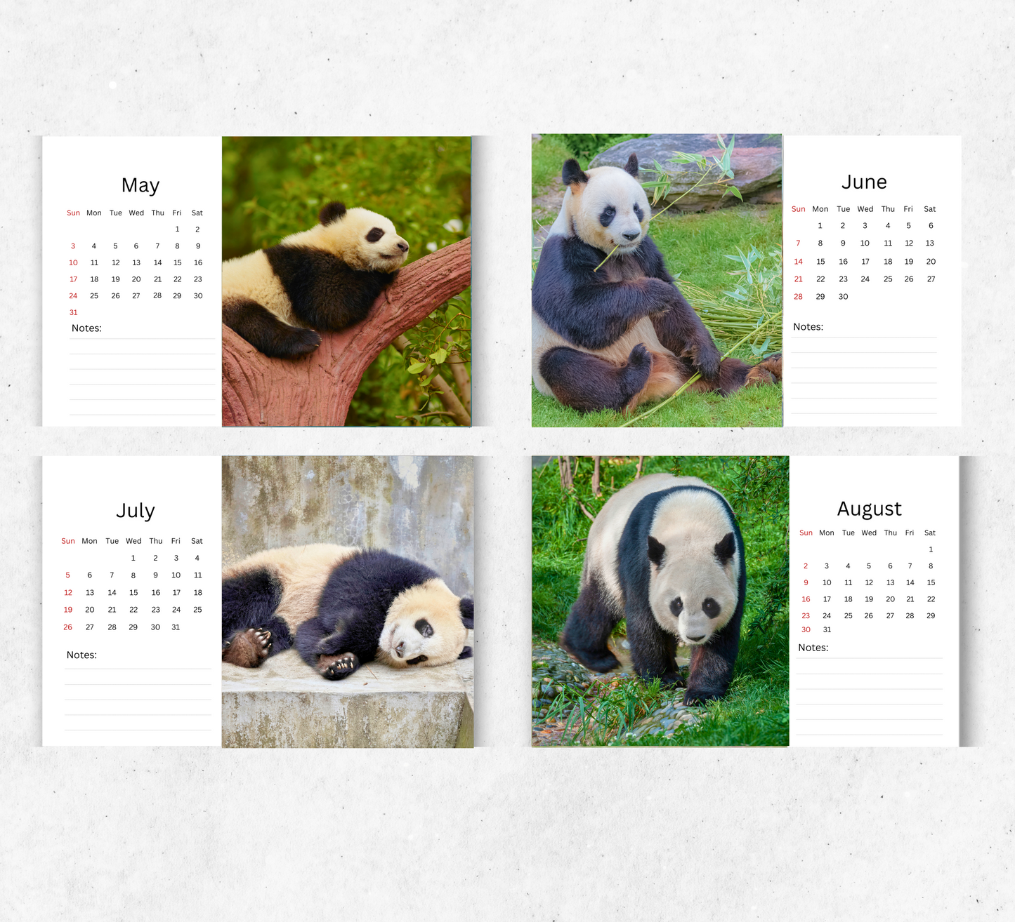 Panda Desk Calendar 2026-2027
