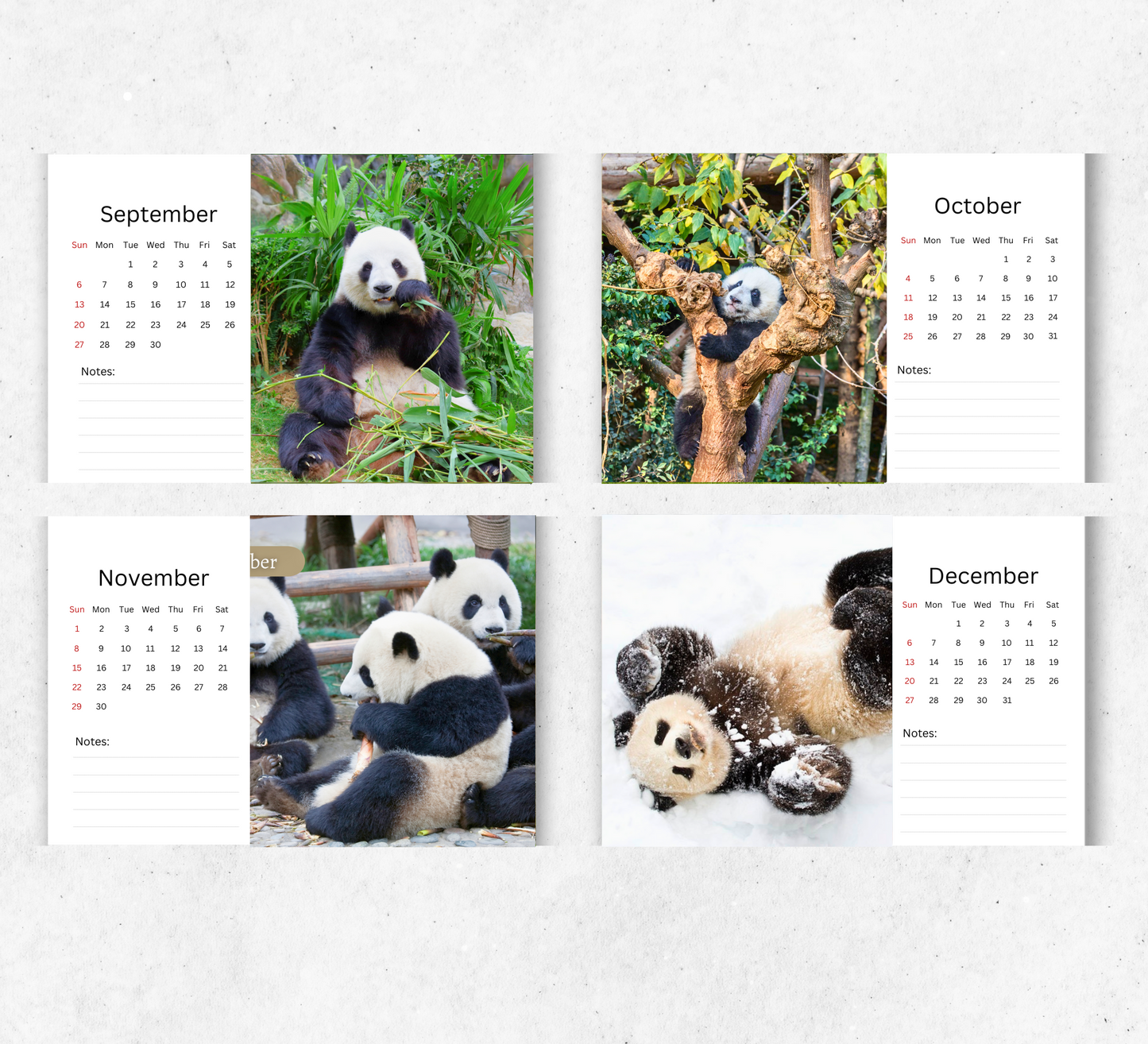 Panda Desk Calendar 2026-2027