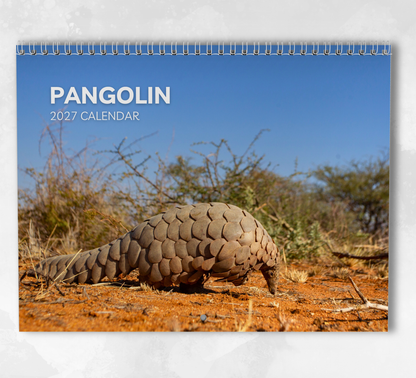 Pangolin Calendar 2027