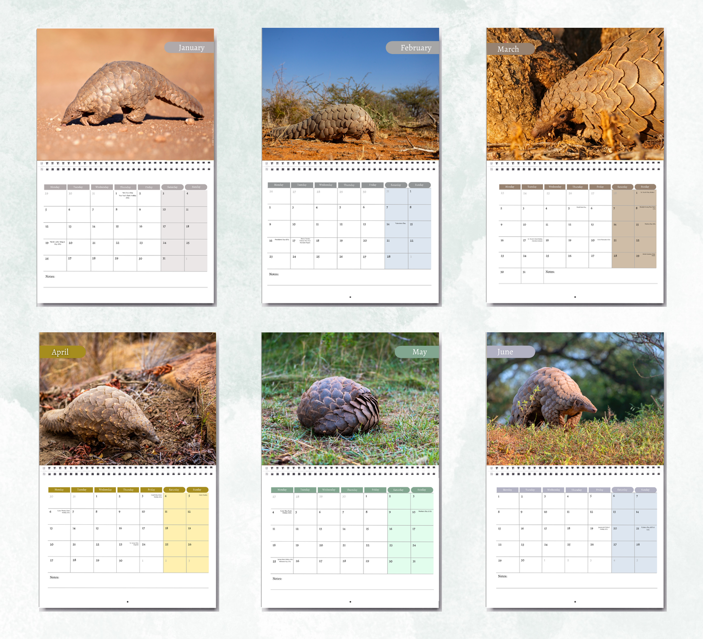 Pangolin Calendar 2027