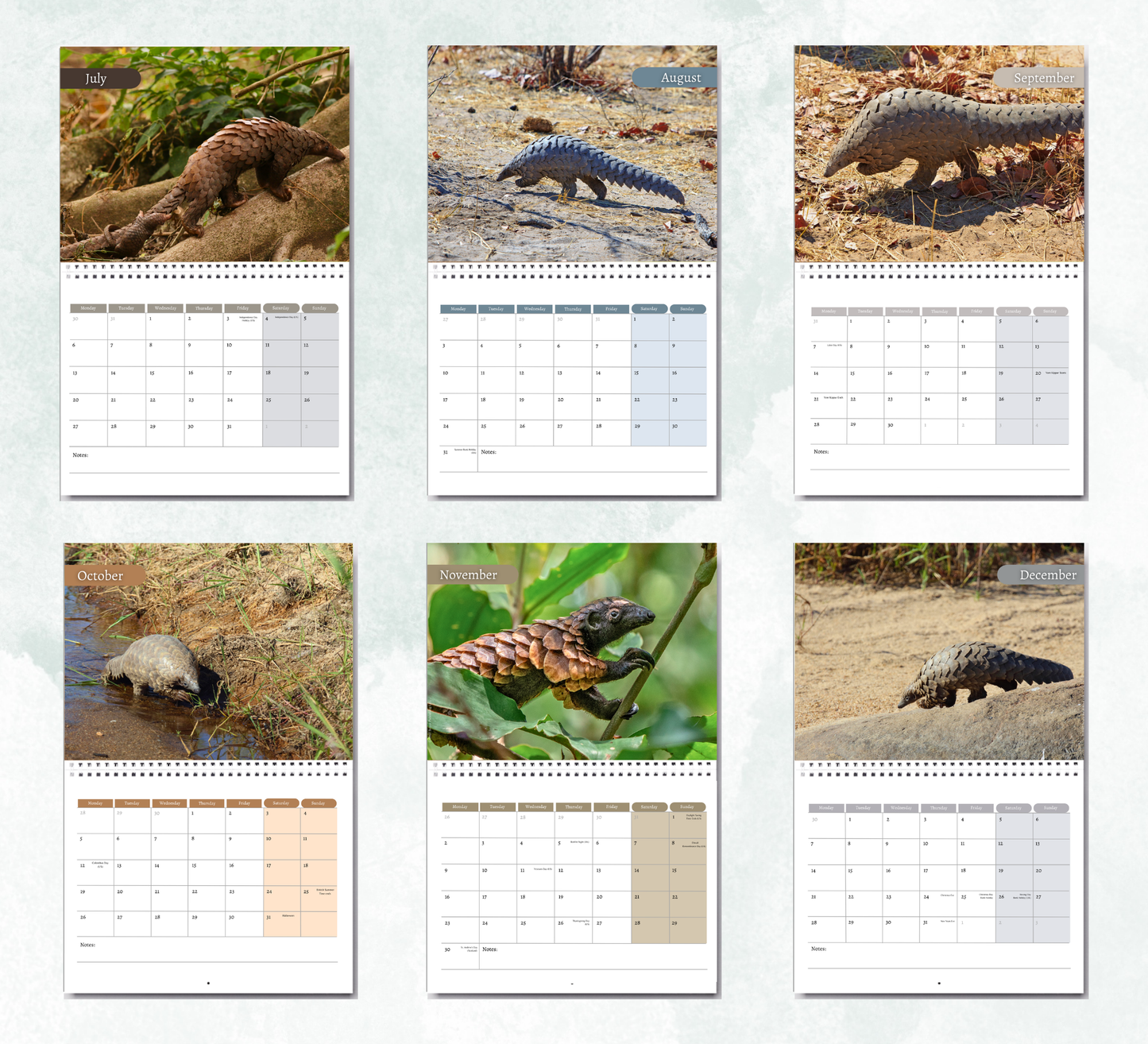 Pangolin Calendar 2027