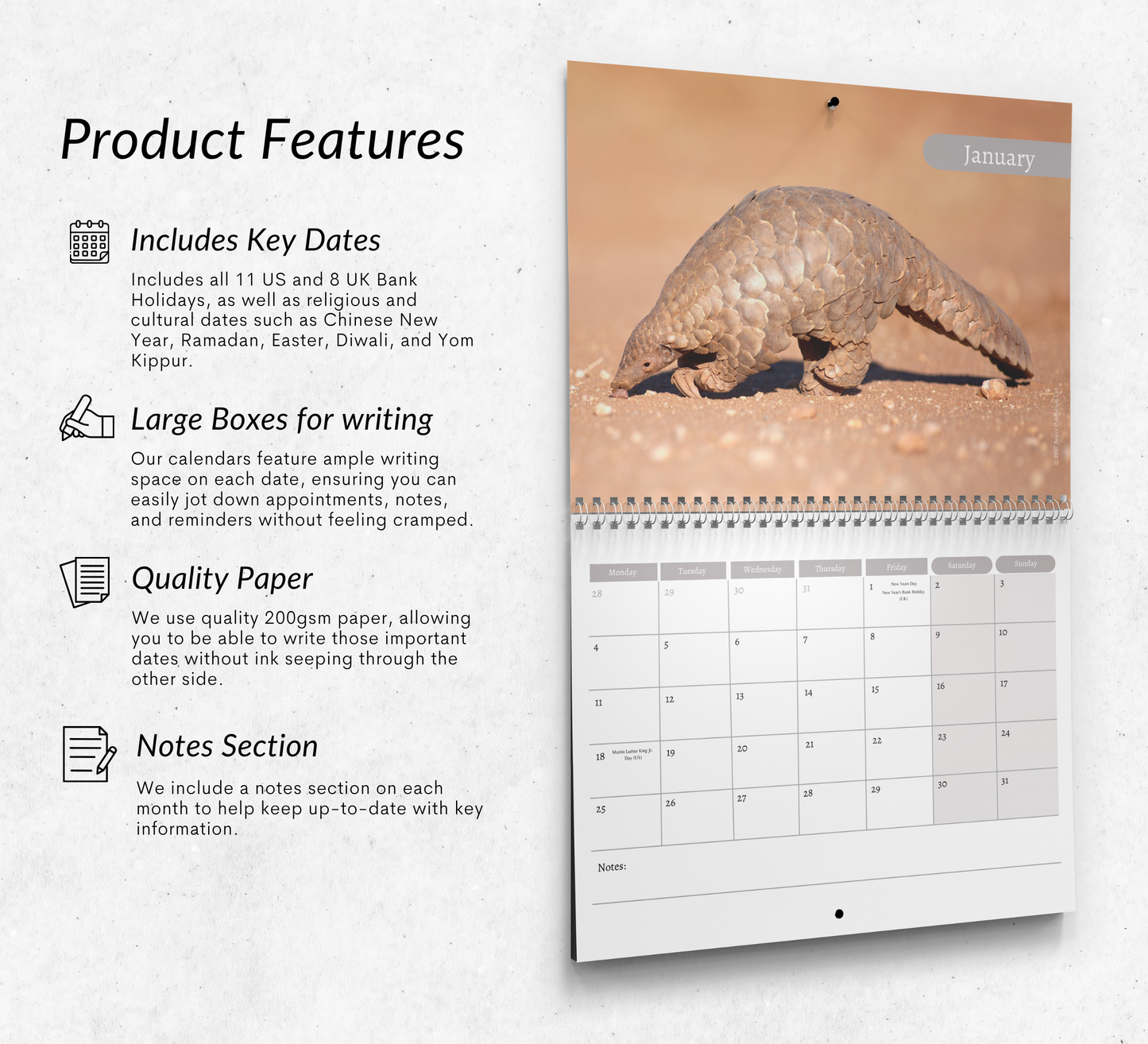 Pangolin Calendar 2027