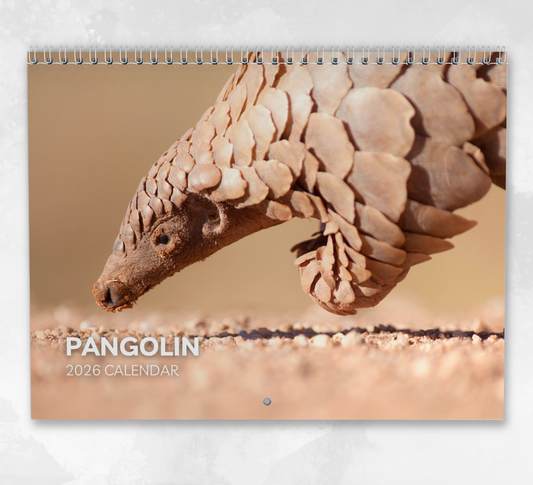 Pangolin Calendar 2026