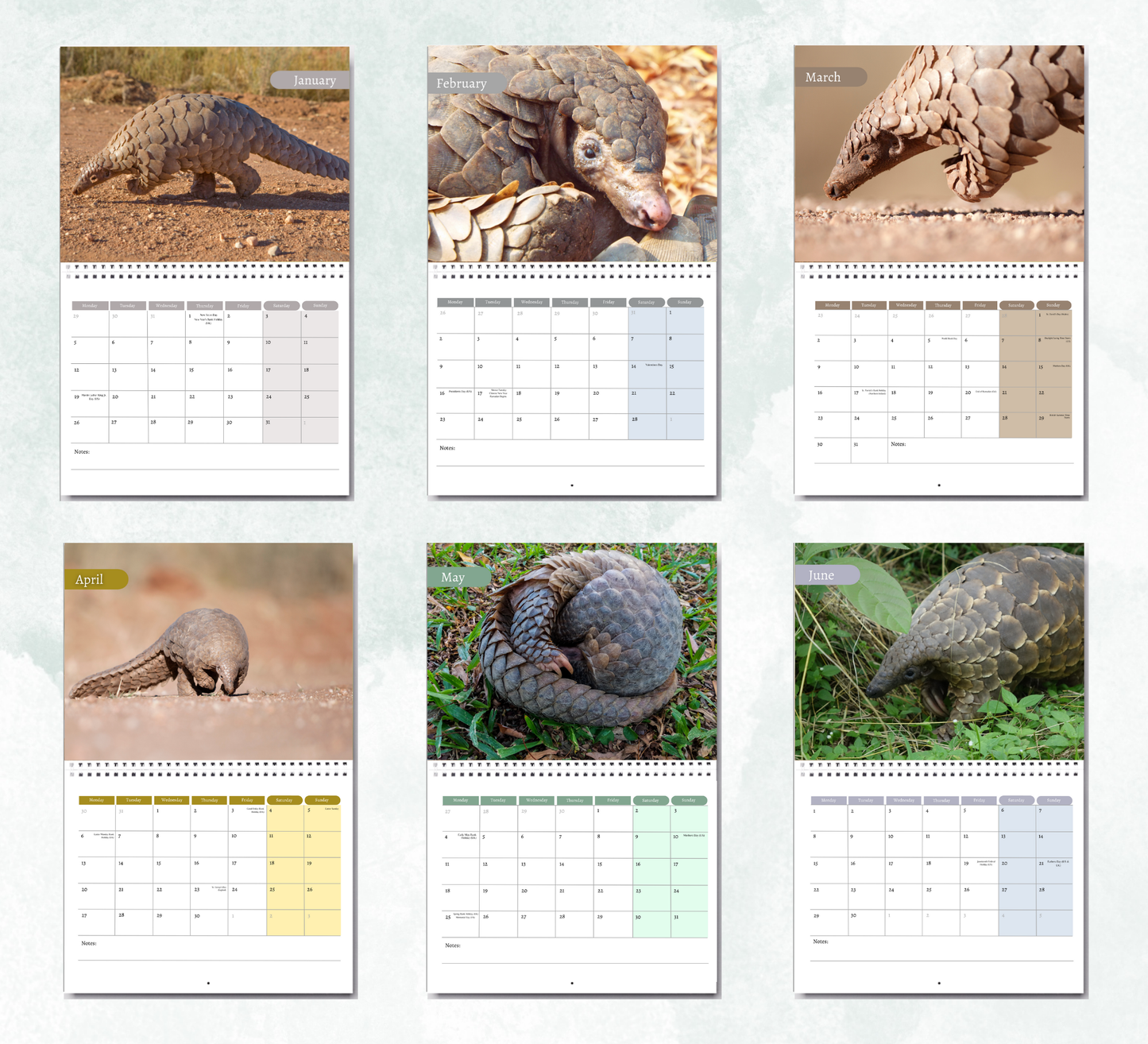 Pangolin Calendar 2026