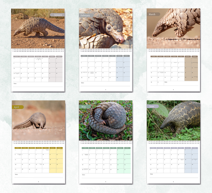 Pangolin Calendar 2026