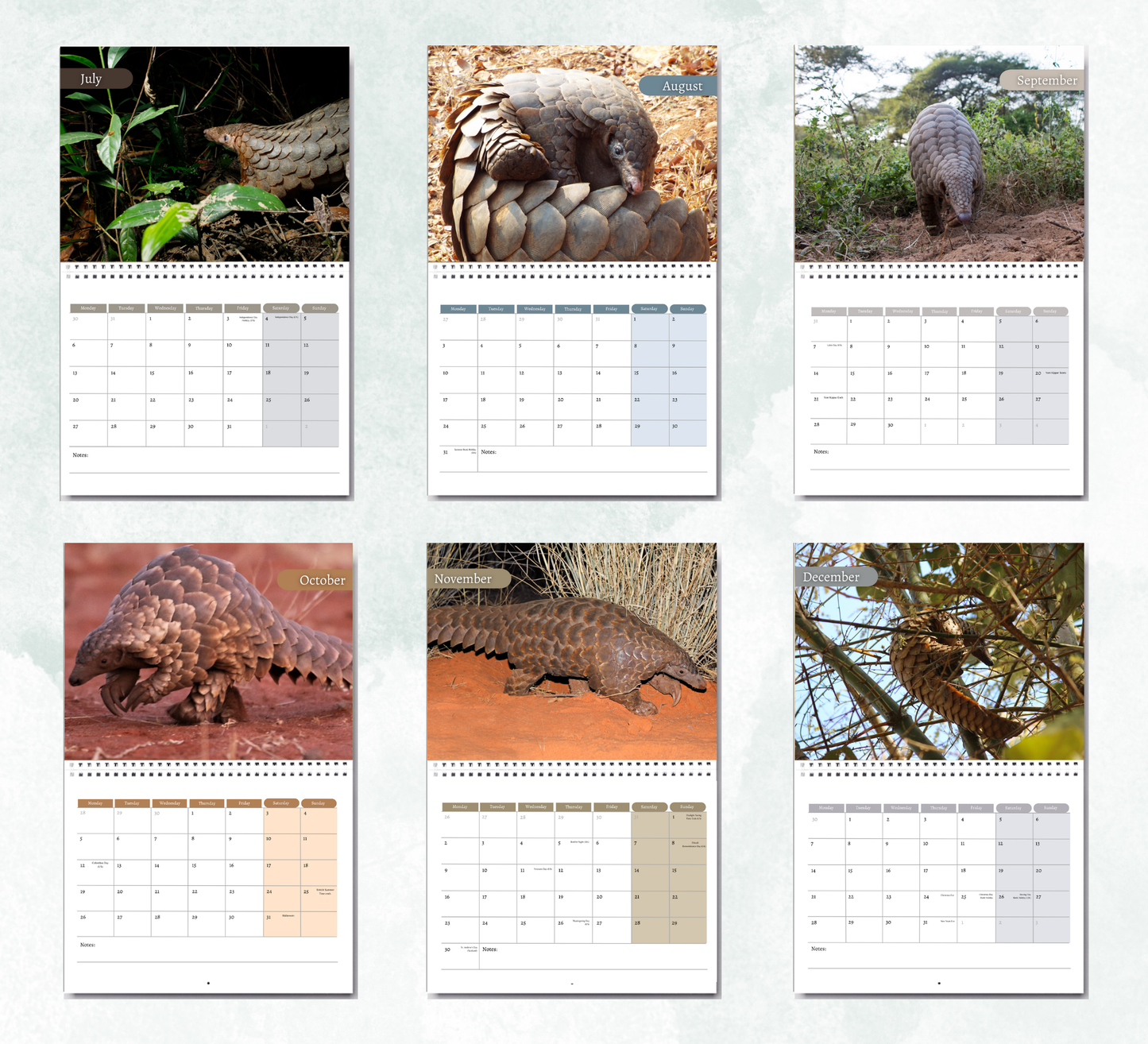 Pangolin Calendar 2026