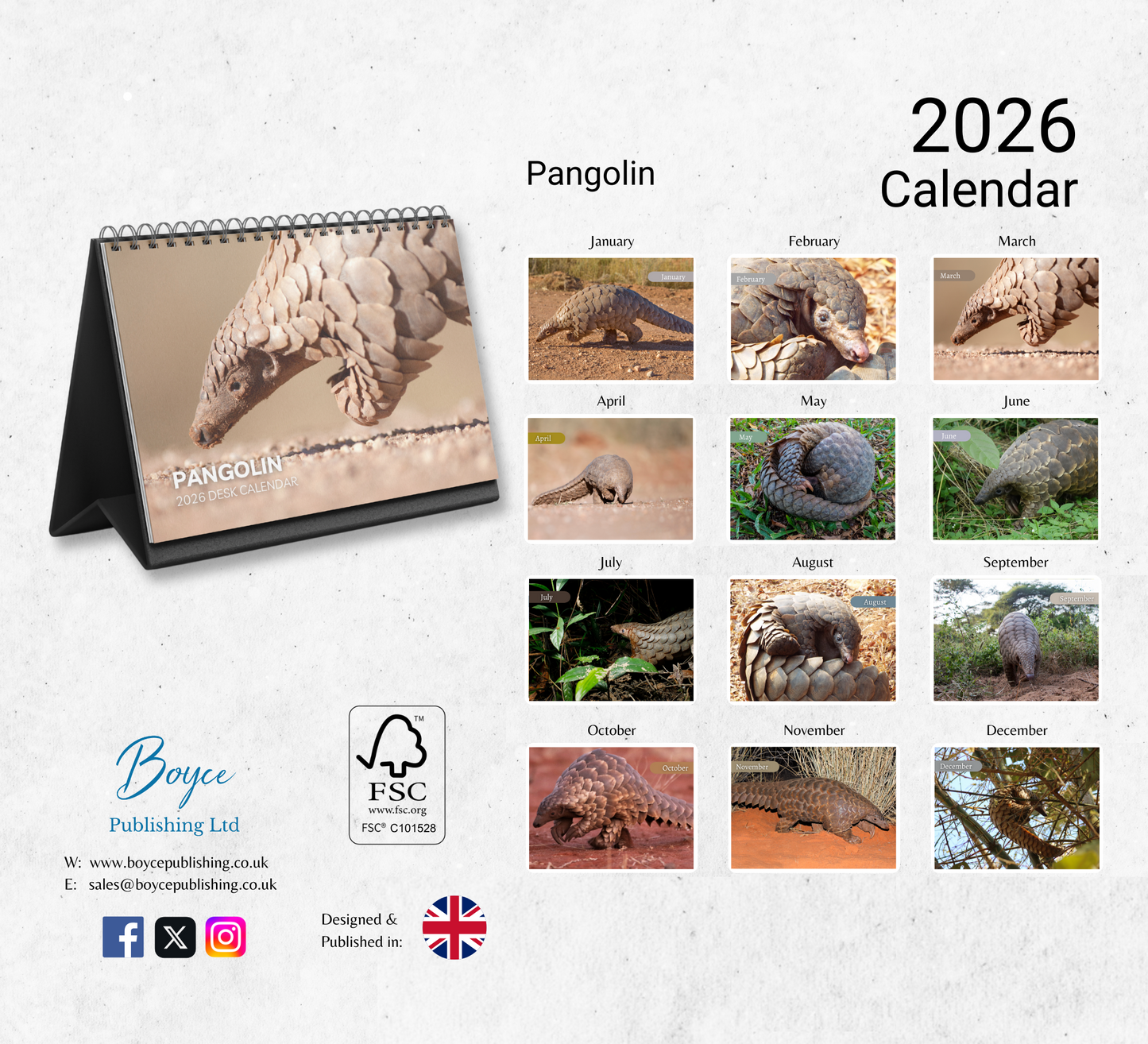 Pangolin Desk Calendar 2026-2027