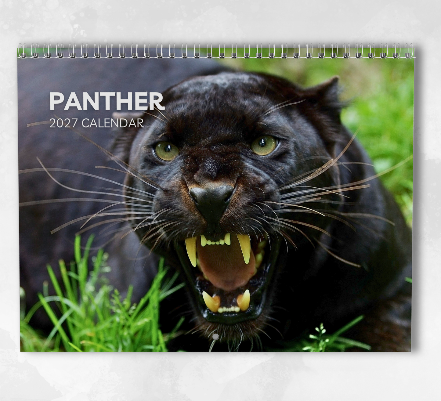 Panther Calendar 2027