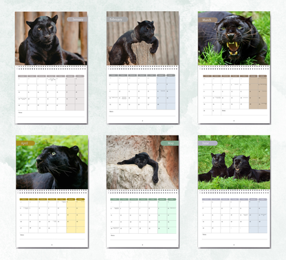 Panther Calendar 2027