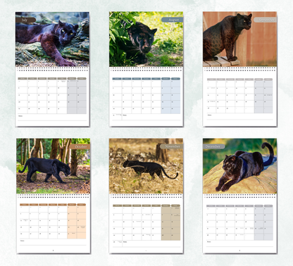 Panther Calendar 2027