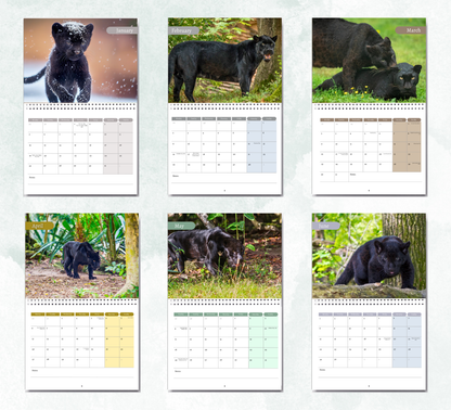 Panther Calendar 2026