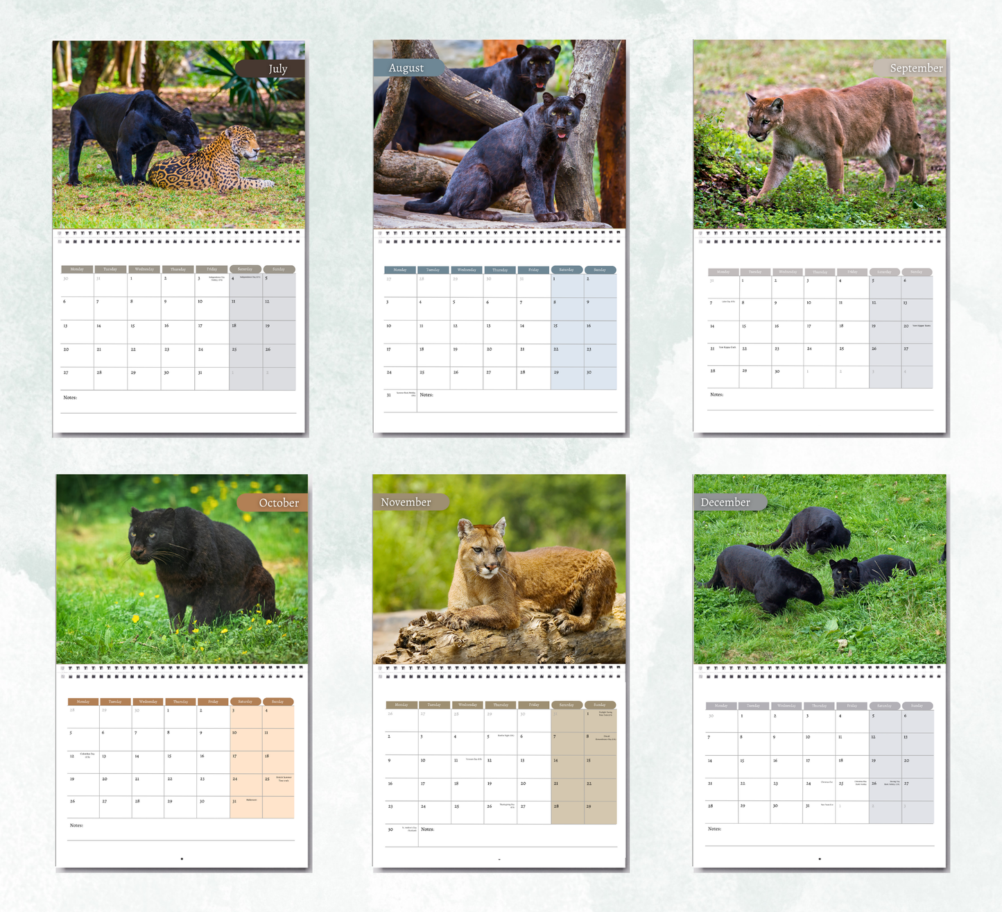 Panther Calendar 2026