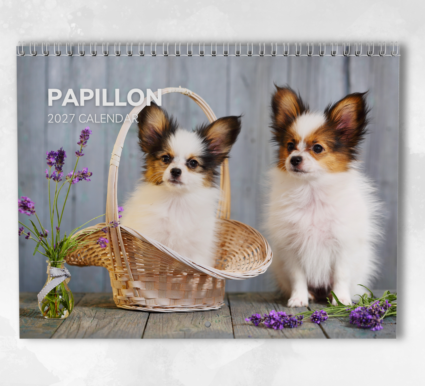 Papillon Calendar 2027