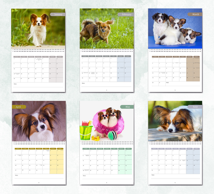 Papillon Calendar 2027