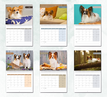 Papillon Calendar 2027