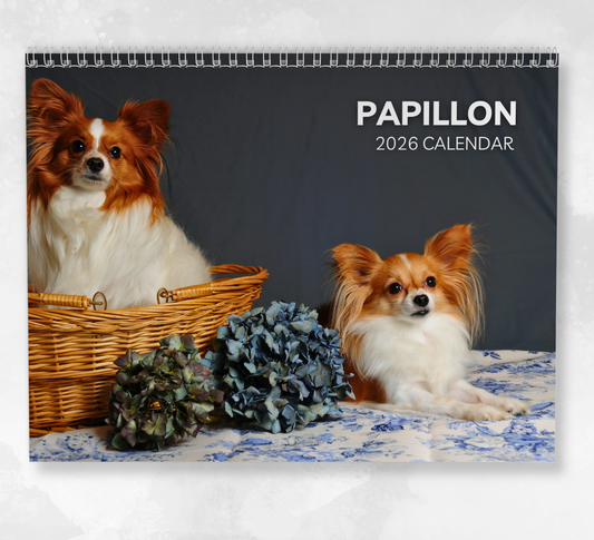 Papillon Calendar 2026