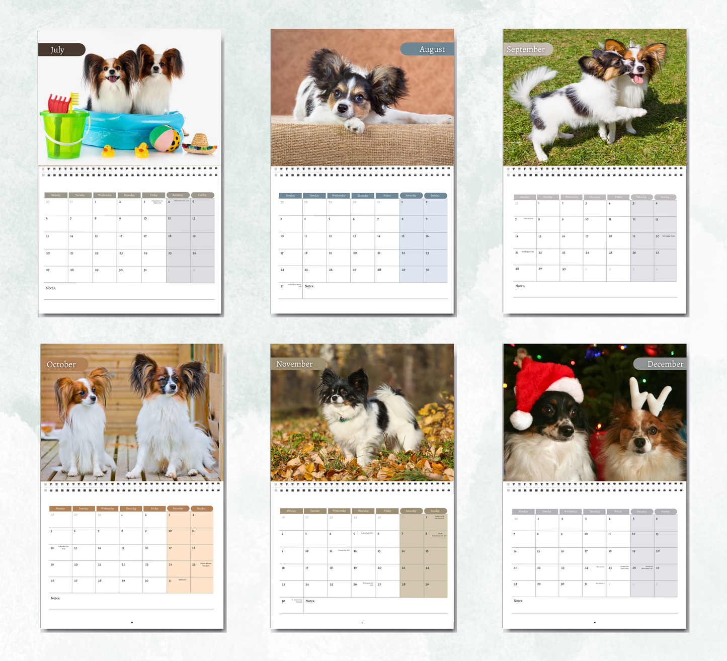 Papillon Calendar 2026