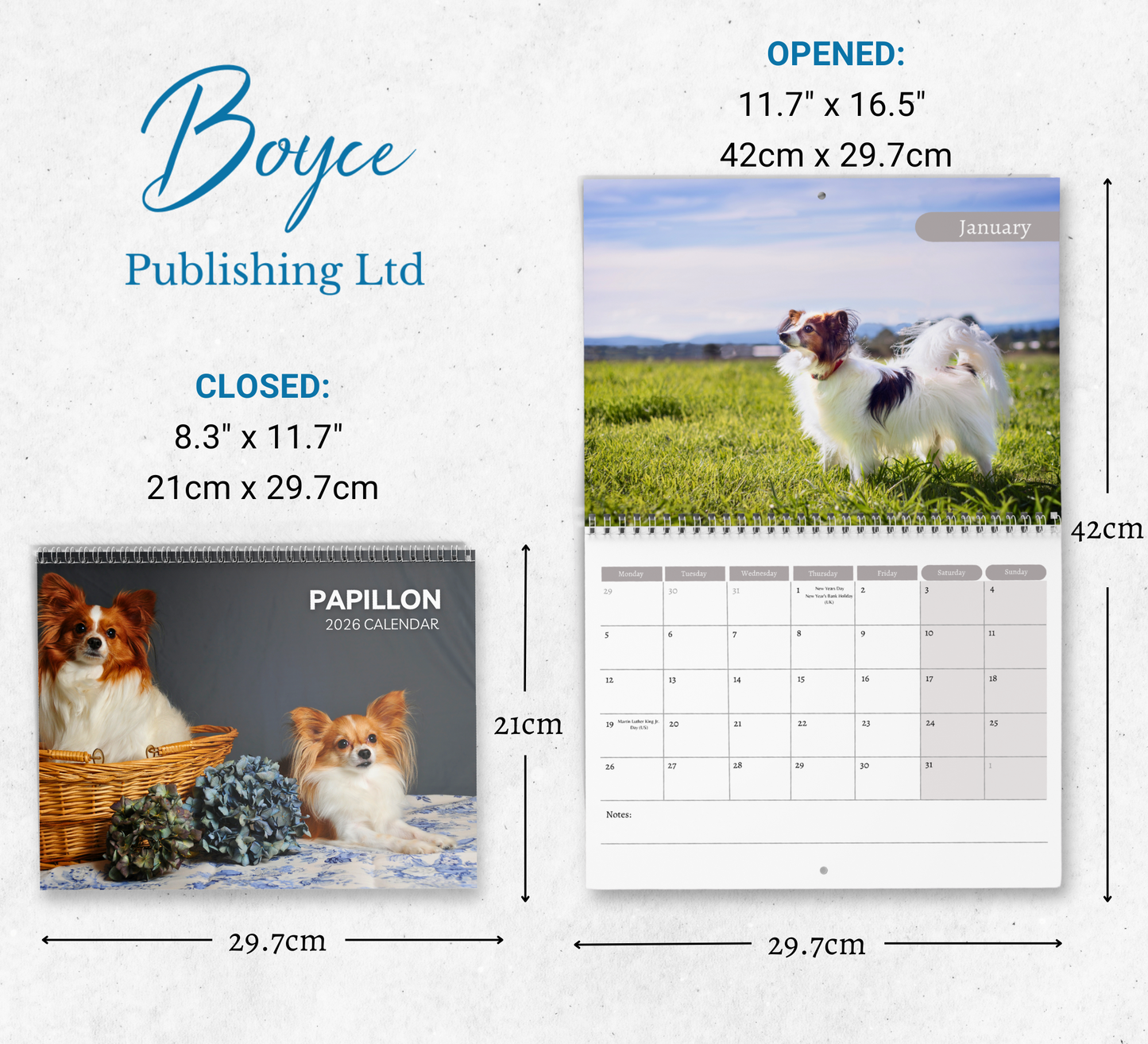 Papillon Calendar 2026