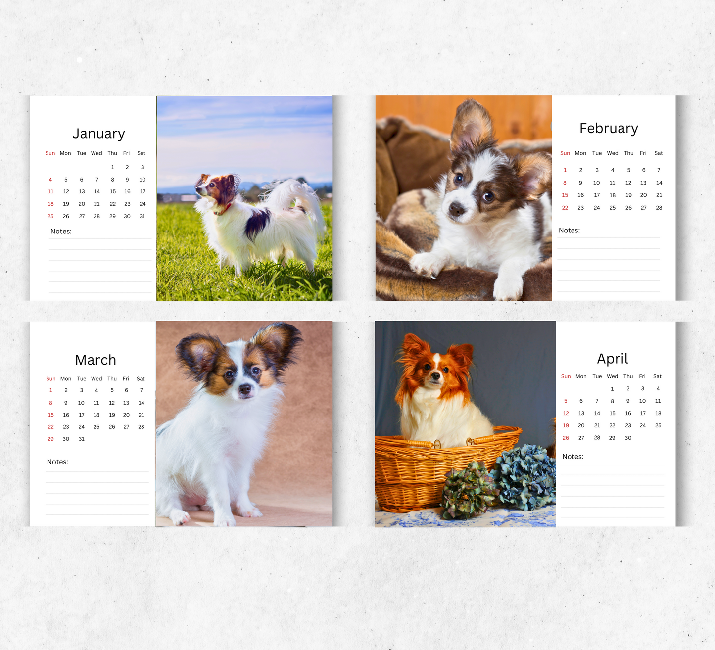 Papillon Desk Calendar 2026-2027