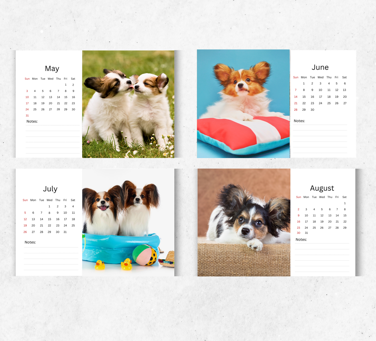 Papillon Desk Calendar 2026-2027