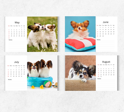 Papillon Desk Calendar 2026-2027