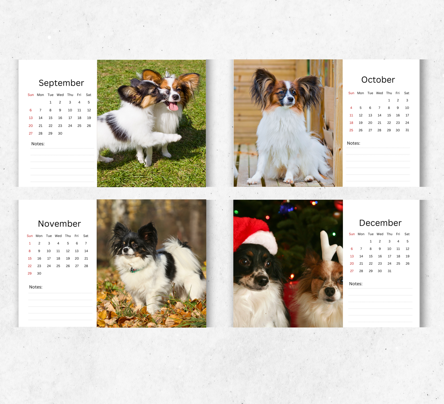 Papillon Desk Calendar 2026-2027