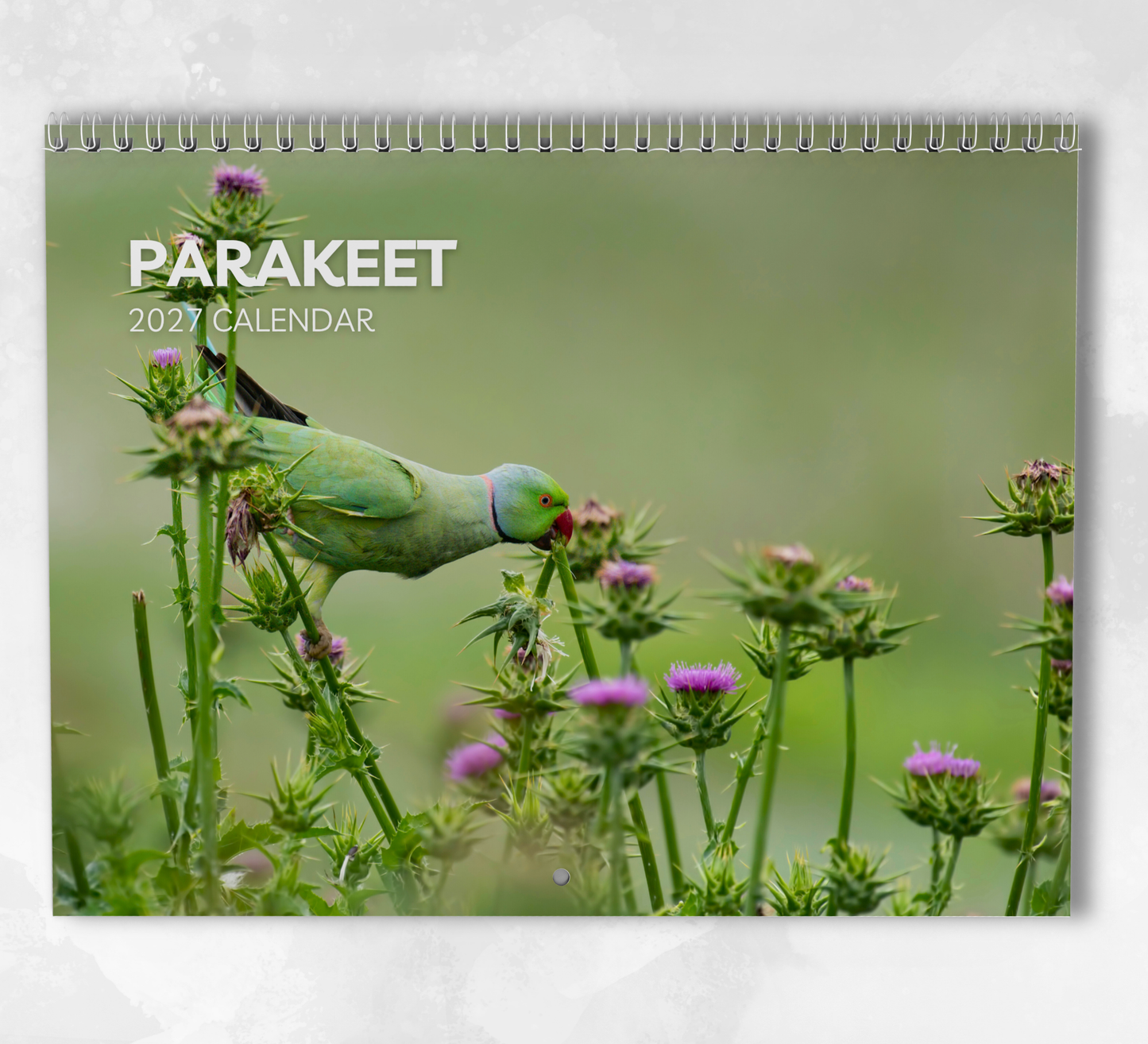 Parakeet Calendar 2027