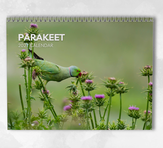 Parakeet Calendar 2027