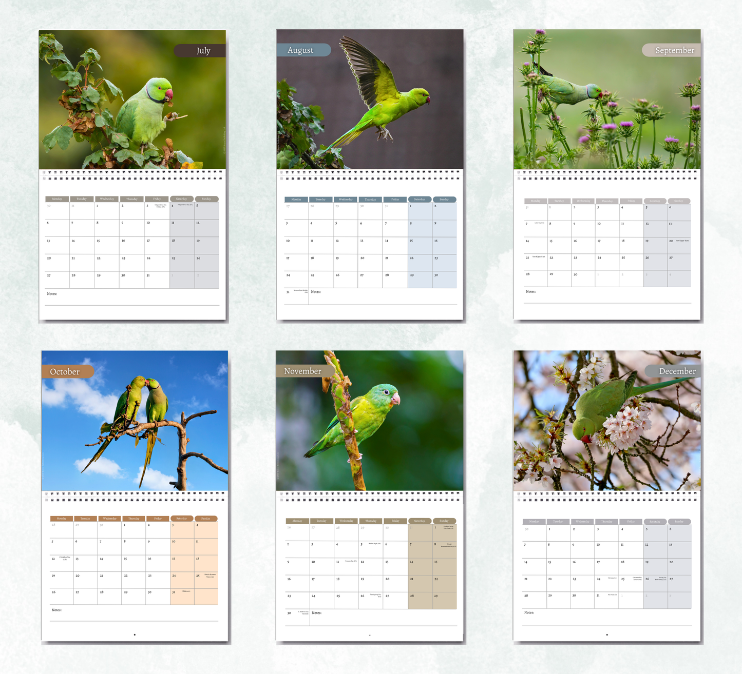 Parakeet Calendar 2027