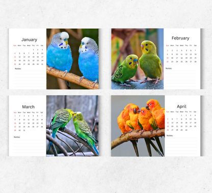 Parakeet Desk Calendar 2026-2027