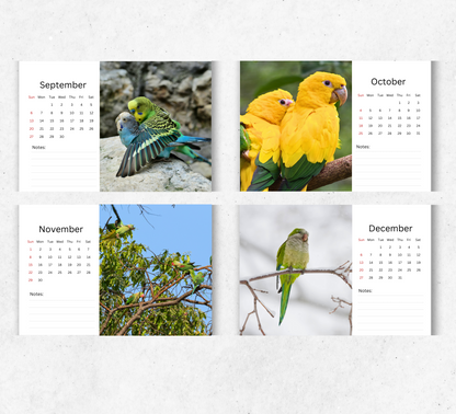 Parakeet Desk Calendar 2026-2027