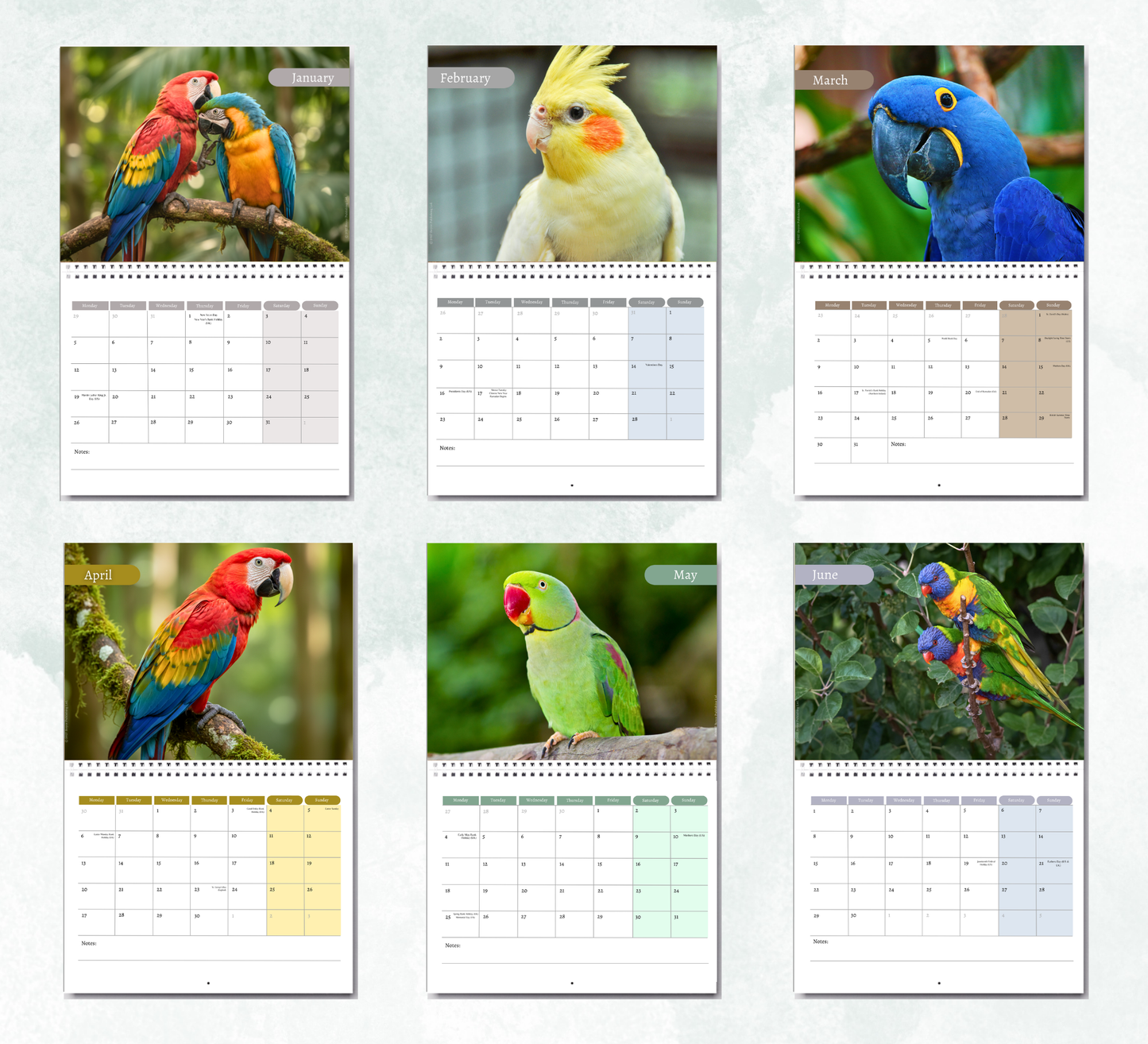 Parrot Calendar 2027