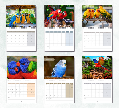 Parrot Calendar 2027